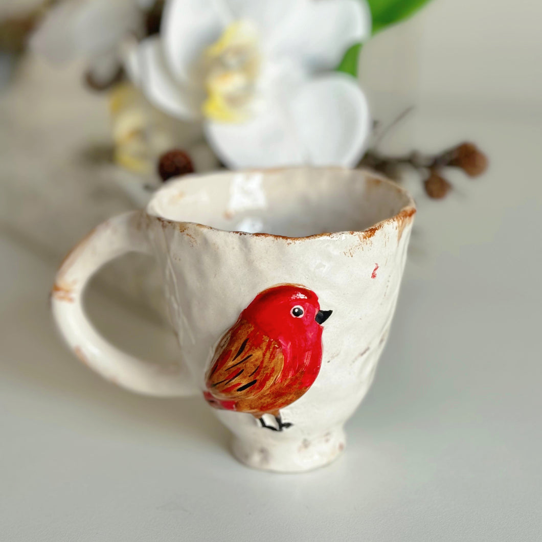 DARWIN MUG