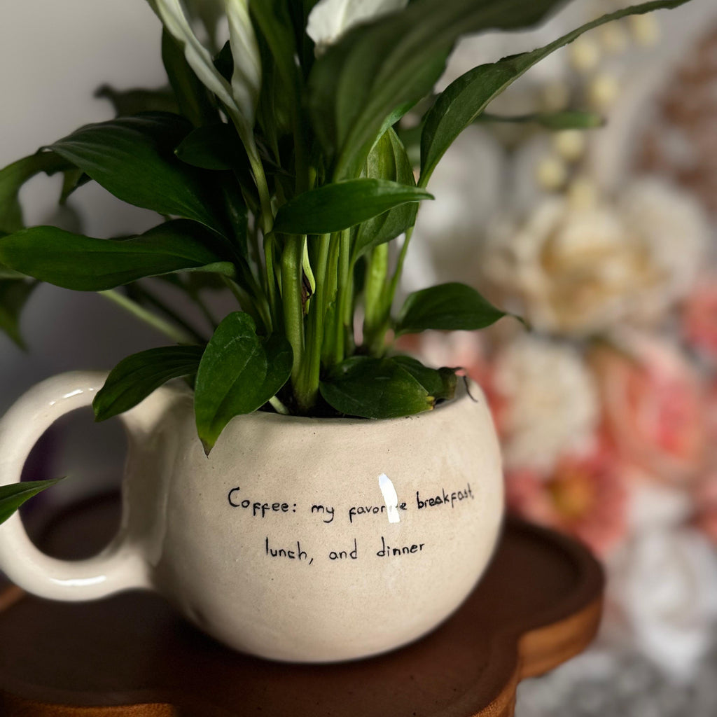 Spathiphyllum