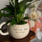 Spathiphyllum