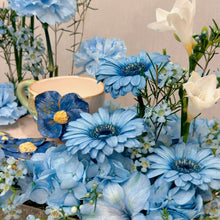 Load image into Gallery viewer, PACKAGE-23
